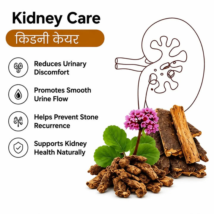 Vaani veda Ayurvedic kidney care juice 1000ml | Herbal Drink | Natural Herbal Formula for Kidney & Urinary Tract Wellness .